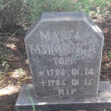 MSIMANGA Marca Topi 1986-1986