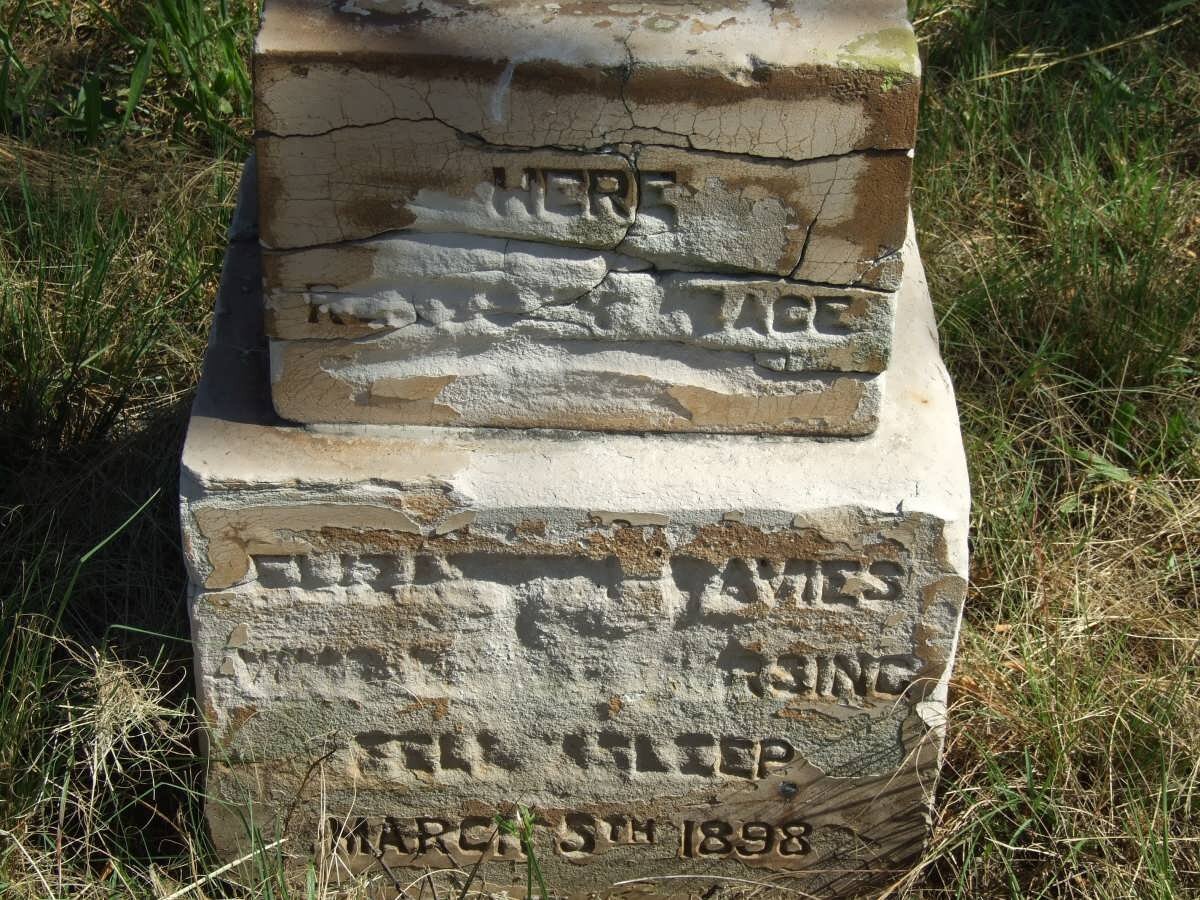 DAVIES Elizabeth -1898