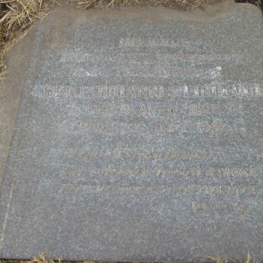 LINDEQUE Gert Johannes 1878-1942