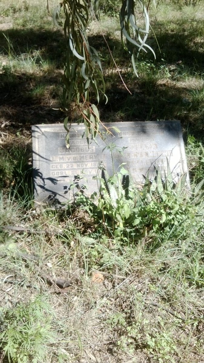 MERWE Jacobus L.M., van der 18??-19?? &amp; ?