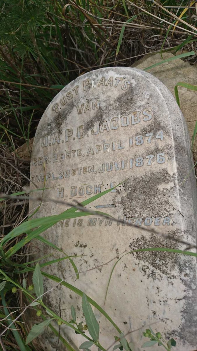 JACOBS J.A.P.C. 1874-1876