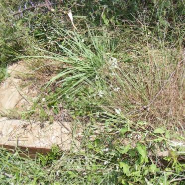 ? Unknown &amp; Illegible Graves