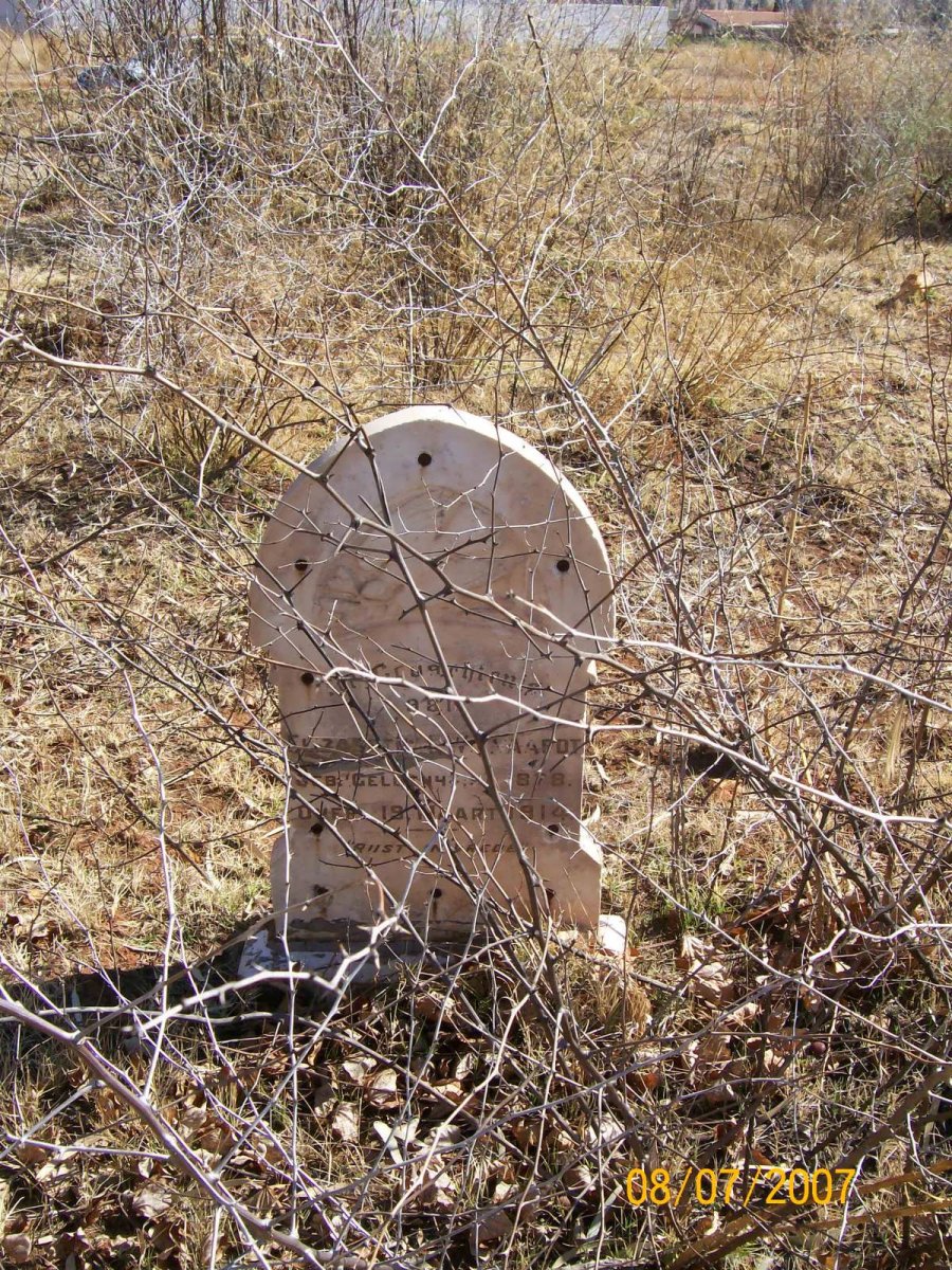 WOLFAARDT Elizabeth Johanna nee GELDENHUYS 1878-1914