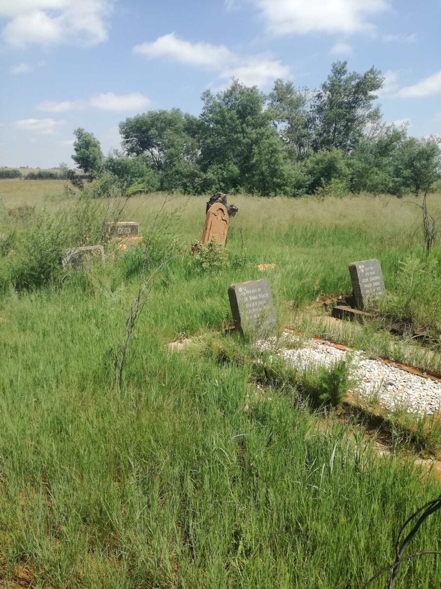 1.  Overview of Cemetery