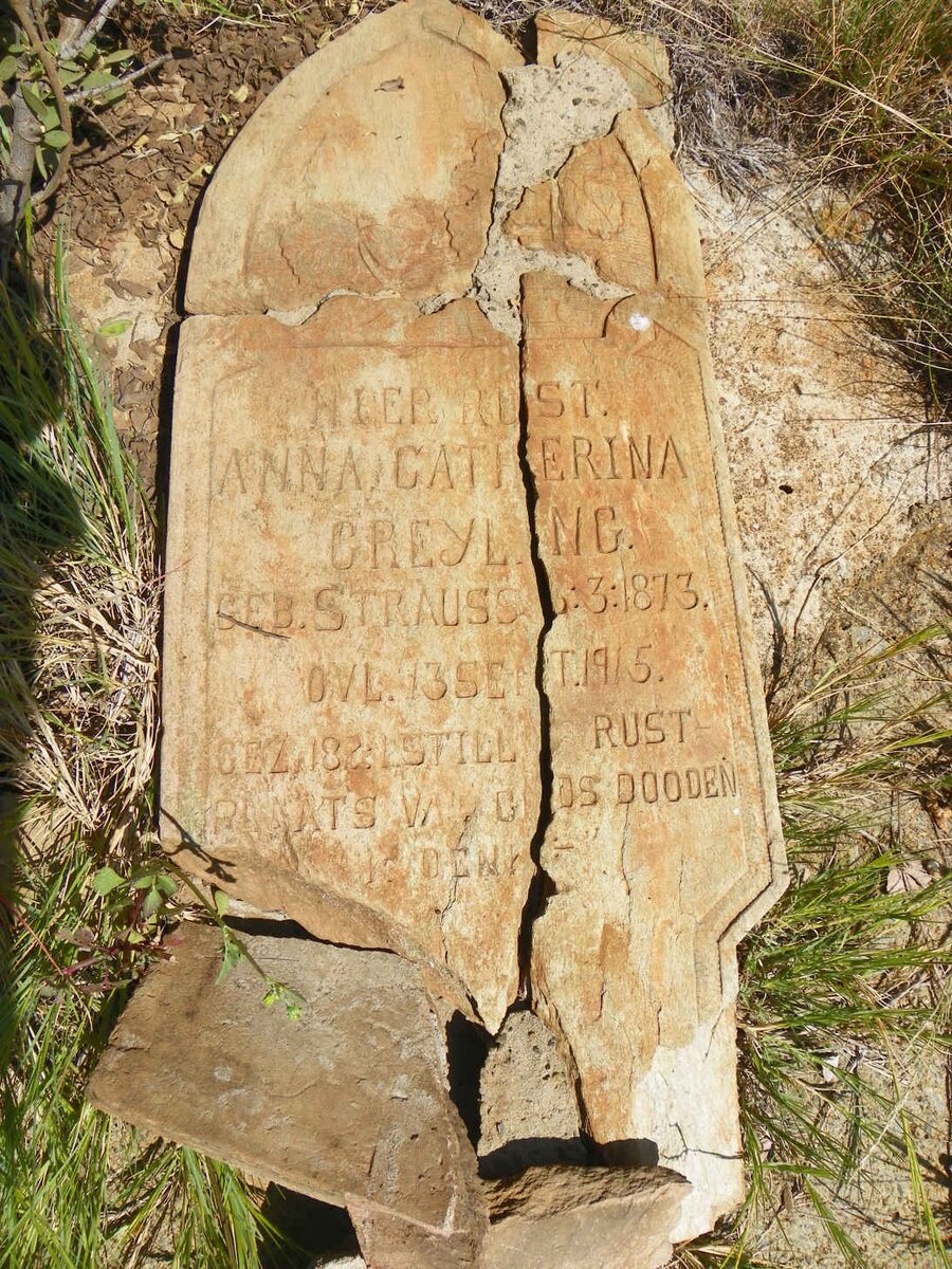 GREYLING Anna Catherina nee STRAUSS 1873-1915