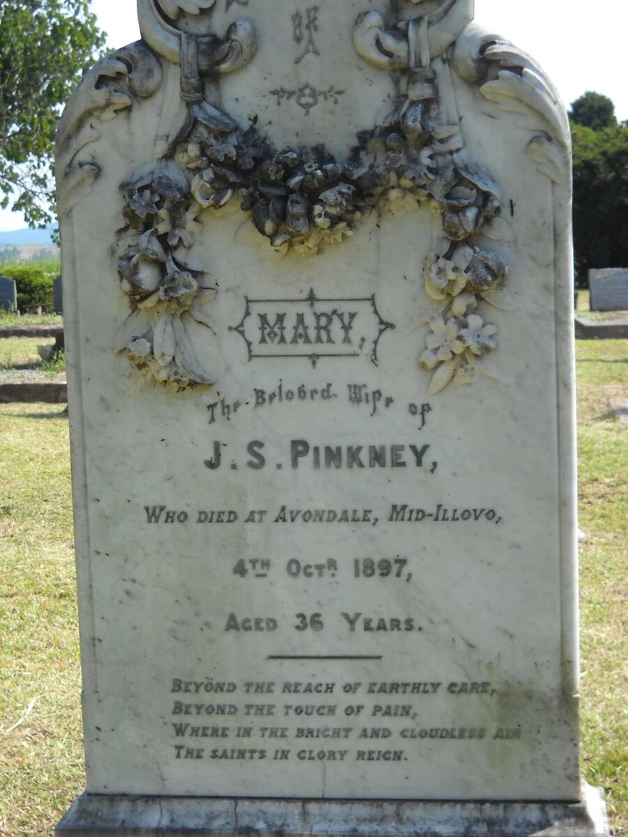 PINKNEY Mary -1897