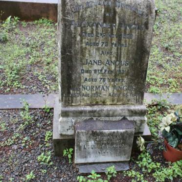 ANGUS Alexander 1928 &amp; Jane -1931 :: ANGUS Norman -1952 :: ANGUS Dudley Arthur 1814-1884