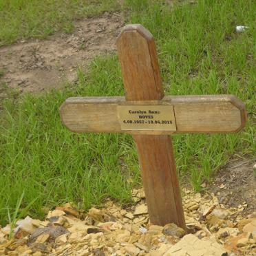 BOTES Carolyn Anne 1957-2015