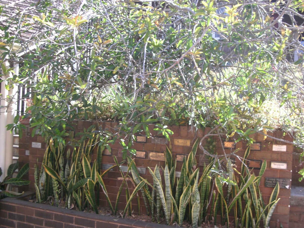 3. Old Memorial Wall