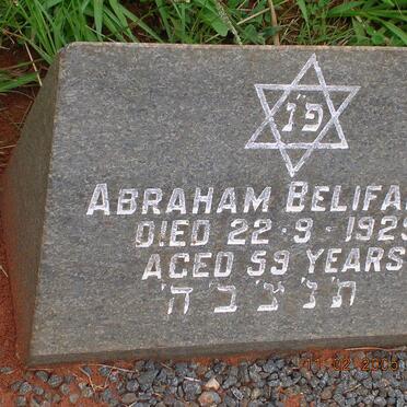 BELIFANTE Abraham -1929