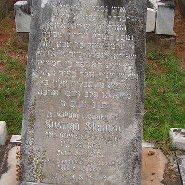 SHAPIRO Susman -1925