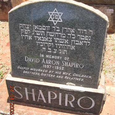 SHAPIRO David Aaron 1897-1952