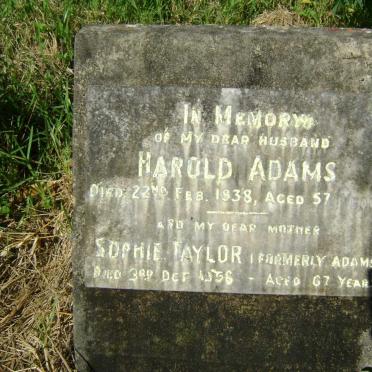ADAMS Harold -1938 &amp; Sophie TAYLOR formerly ADAMS -1956