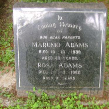 ADAMS Marumo -1939 &amp; Rosa -1962