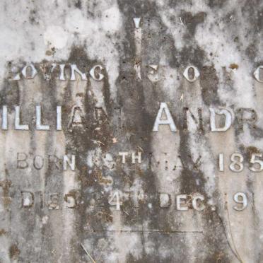 ANDREW William 1855-1918