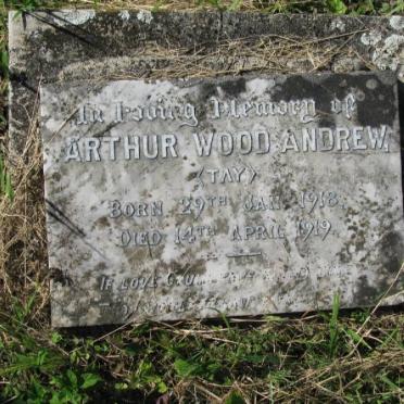 ANDREW Arthur Wood 1918-1919