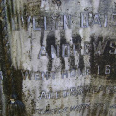 ANDREWS Evelyn Daisy -1969