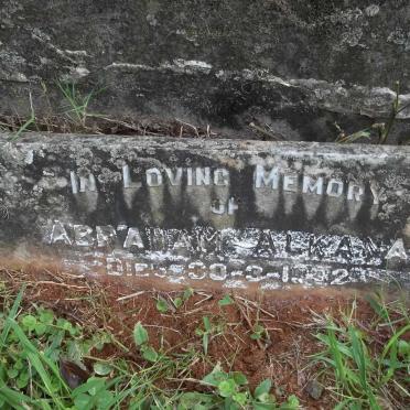 ALKANA Abraham -1931