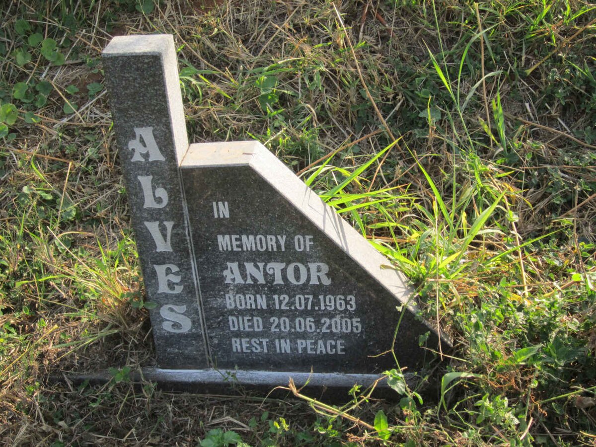 ALVES Antor 1963-2005