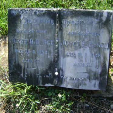BUSCH Jessie D. -1954 :: BUSCH Joyce E. -1946