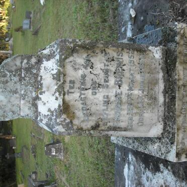 BREWIS Fransie 1952-1955