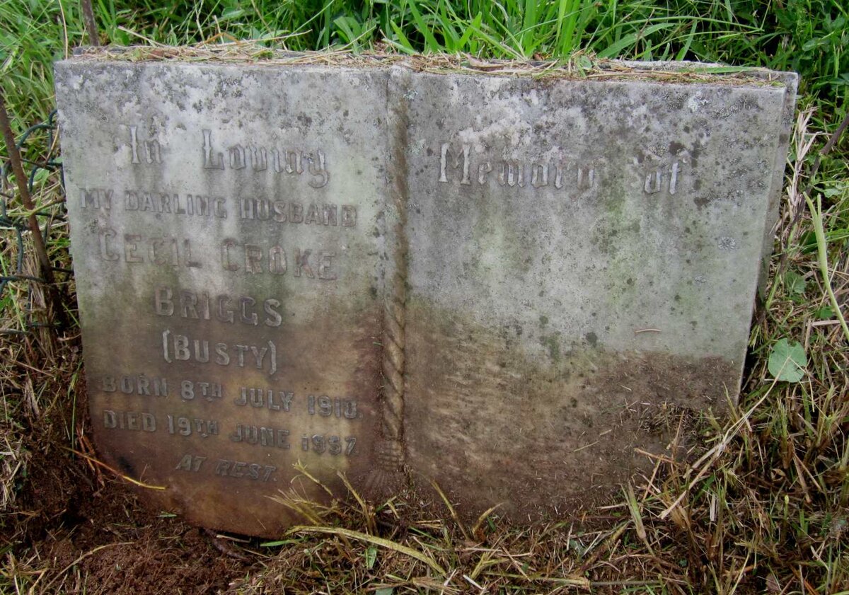 BRIGGS Cecil Croke 1910-1957