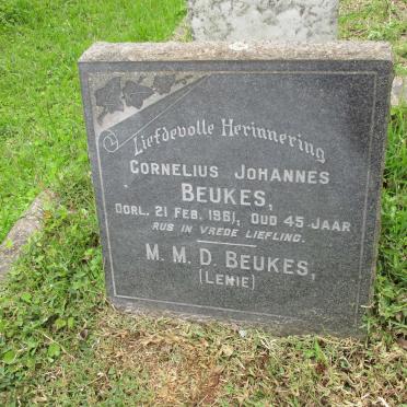 BEUKES Cornelius Johannes -1961 &amp; Marie Magdalina Dippenaar -1971