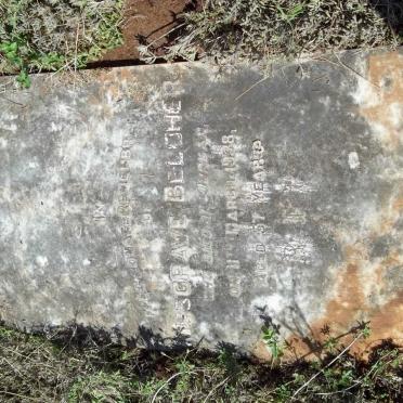 BELOHER Musgrave -1938