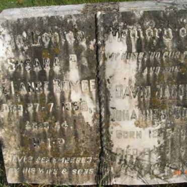 BOYCE David Jacobus Johannes 1950-1974 :: BOYCE Susara P. de Lange  -1958