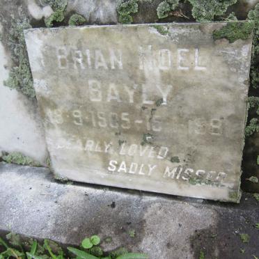 CHAPLIN Warwick Milner -1930 :: CHAPLIN T.H. -1953 :: CHAPLIN J.E. -1971 :: BAYLY Brian Noel 1905-1981