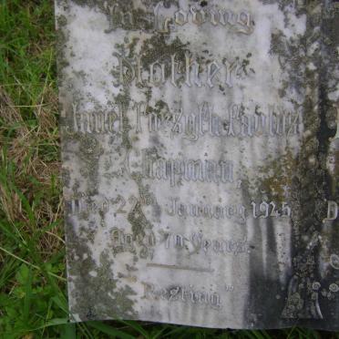 CHAPMAN Janet Forsyth Faulds -1945