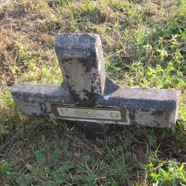 CELE Biki Solomon 1949-2006