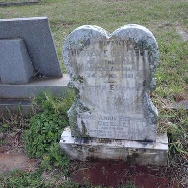 CATELLE Gustave -1941 &amp; Marie Anais Berthe -1948