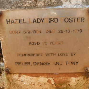 FOSTER Hazel Ladybird 1904-1979