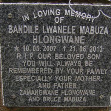 HLONGWANE Bandile Lwanele Mabuza 2007-2013