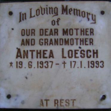 LOESCH Anthea 1937-1993
