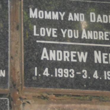 NEL Andrew 1993-1993