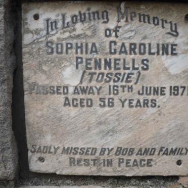 PENNELS Sophia Caroline -1971