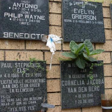 BENEDICTO :: VAN DEN BERG  :: ELS :: GRIERSON