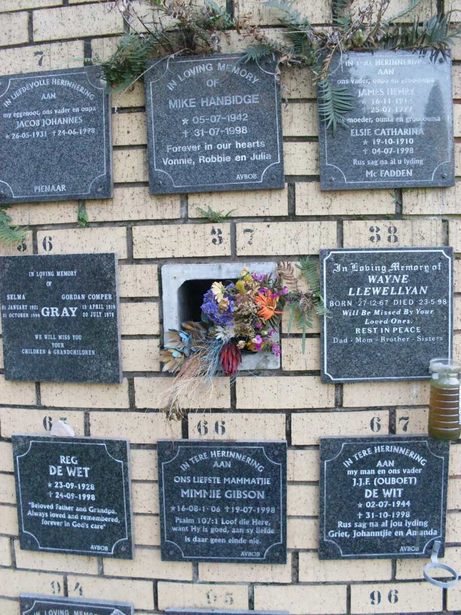 GRAY :: HANBIDGE :: LLEWELLYAN :: McFADDEN :: PIENAAR