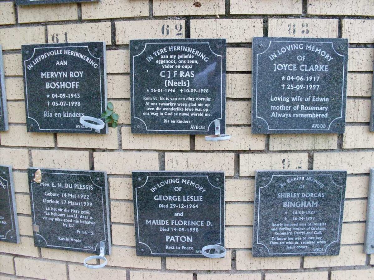 BINGHAM :: BOSHOFF :: CLARKE :: PATON :: DU PLESSIS :: RAS