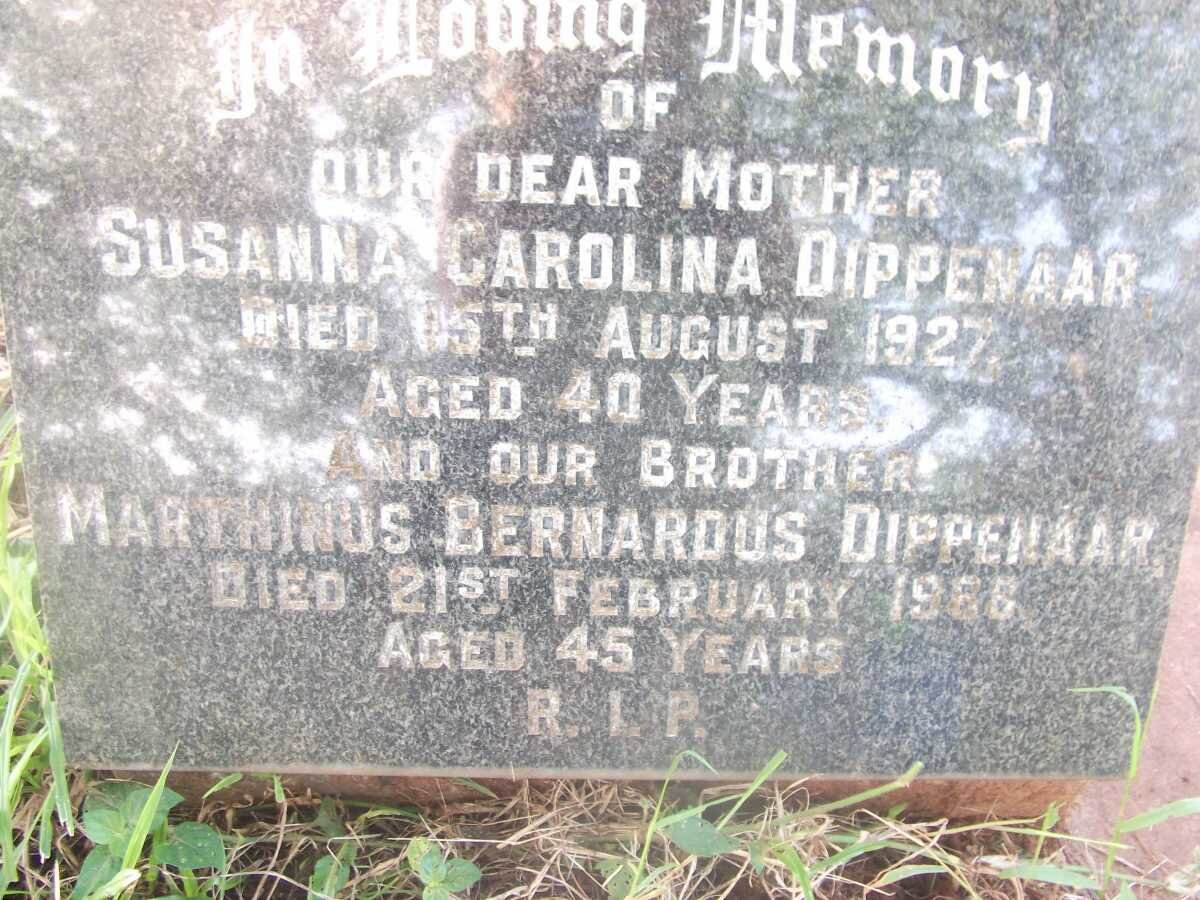 DIPPENAAR Marthinus Bernardus -1968  :: DIPPENAAR Susanna Carolina -1927