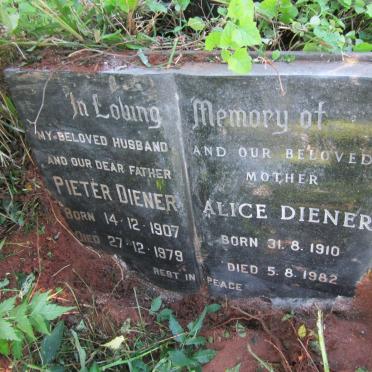 DIENER Pieter 1907-1979 &amp; Alice 1910-1982
