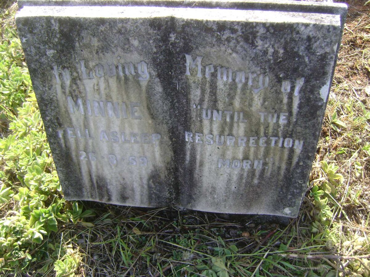 ASHE Minnie Angelina -1959