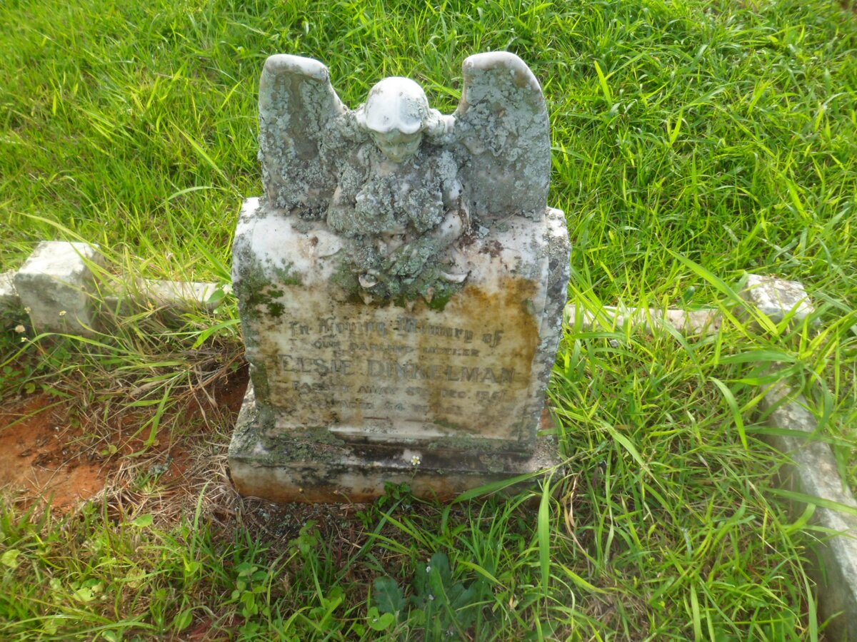 DINKELMAN Elsie -1951