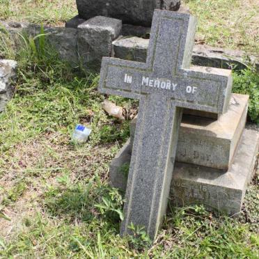 DAY Alfred James -1944 &amp; Minnie Grace -1918