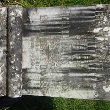 DAVIES Richard, Banks 1860-1940 &amp; Emily 1861-1950 :: DAVIES Ellen Margaret 1880-1933