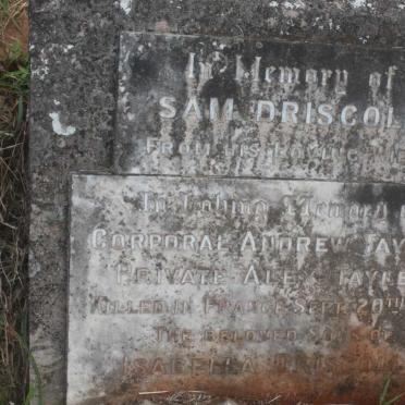 DRISCOLL Sam -1925 :: TAYLER Andrew -1917 :: TAYLER Alex -1917