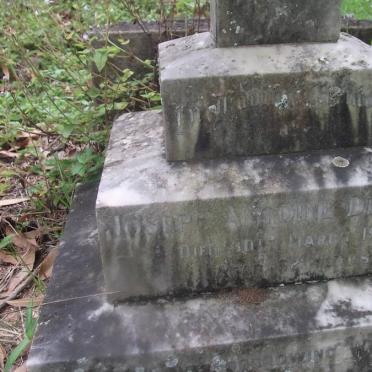 DESPLACE Joseph Antoine -1955 :: DESPLACE Joseph Eric 1925-1986