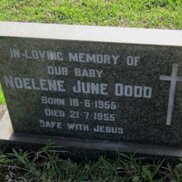 DODD Noelene June 1955-1955